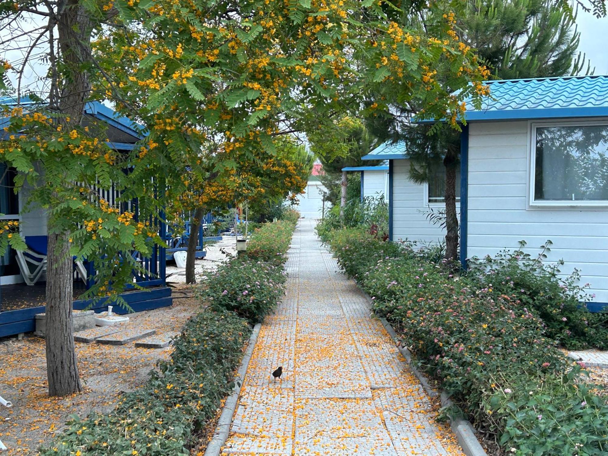 Villa Orbitur Ilha De Armona Olhão Exterior foto